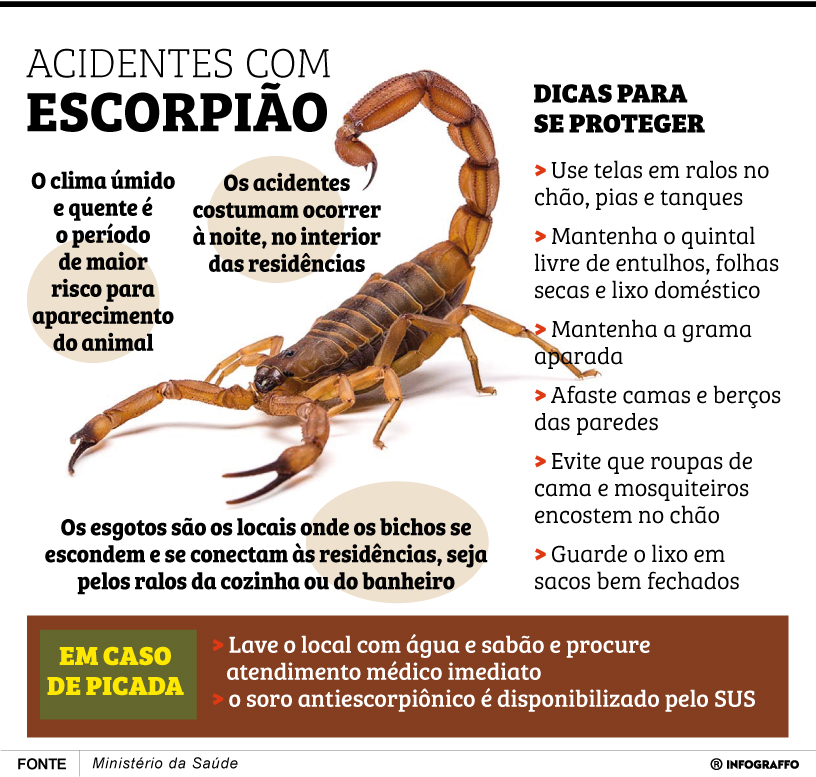 Infográfico do Dia