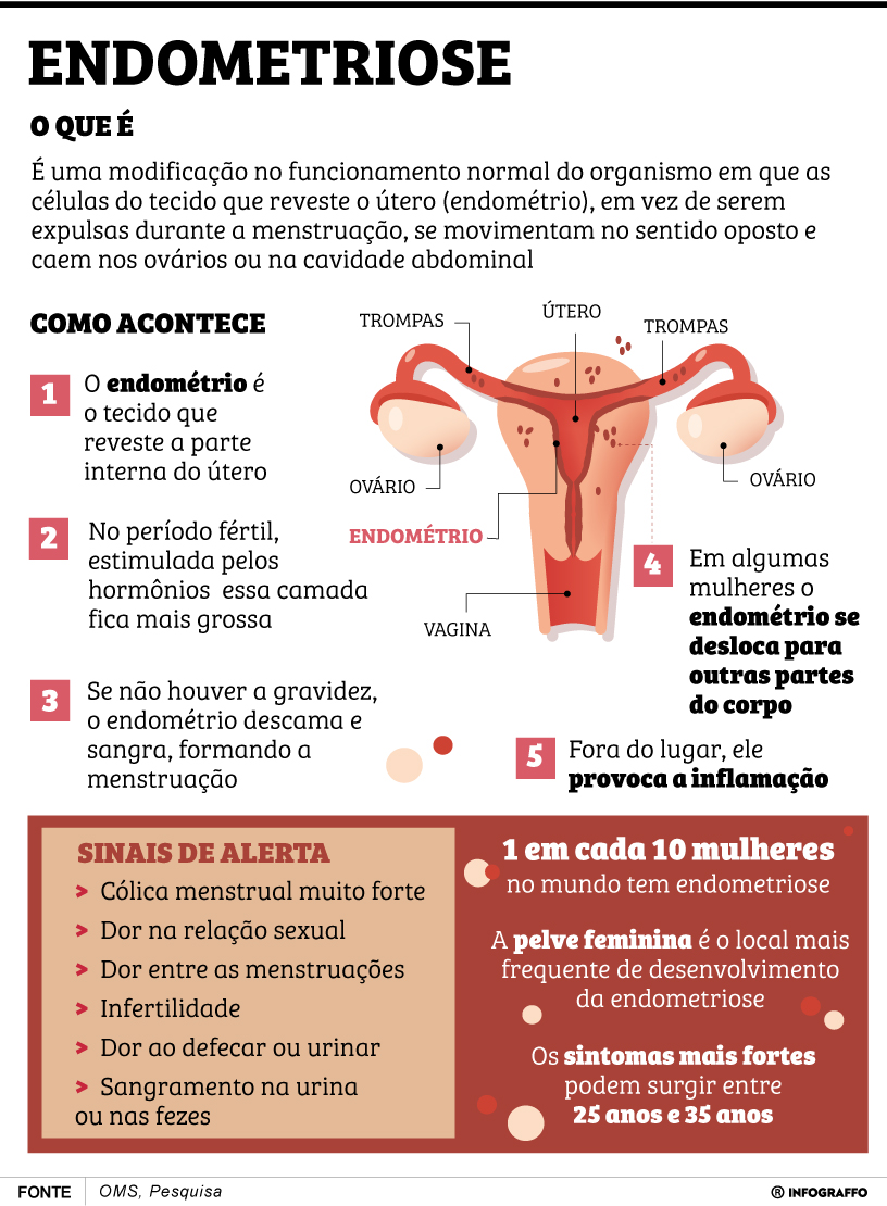 Infográfico do Dia