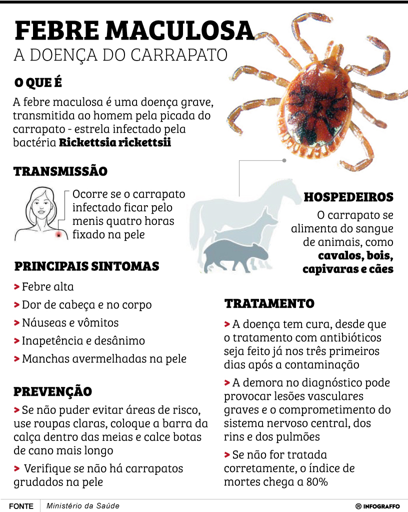 Infográfico do Dia