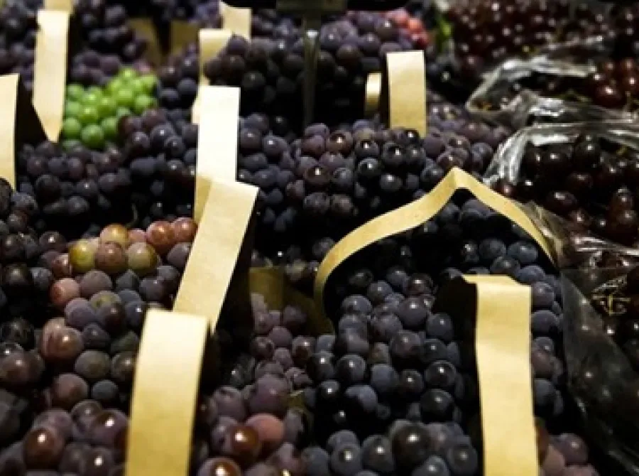 Setor de hortifrutis projeta retomada das exportações brasileiras aos EUA com o fim do tarifaço