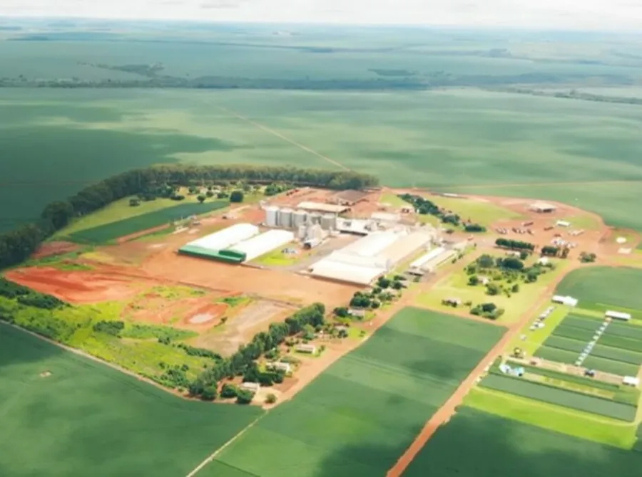 Moratória da soja: Aprosoja-MT anuncia fiscalização própria