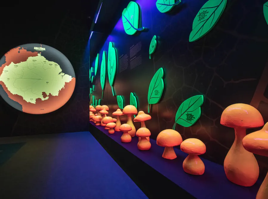 Cena cultural se fortalece em 2025 com retomada de festivais, exposições imersivas e valorização da produção nacional