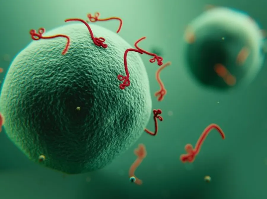 Paciente internado com suspeita de Ebola em SP testa positivo para meningite
