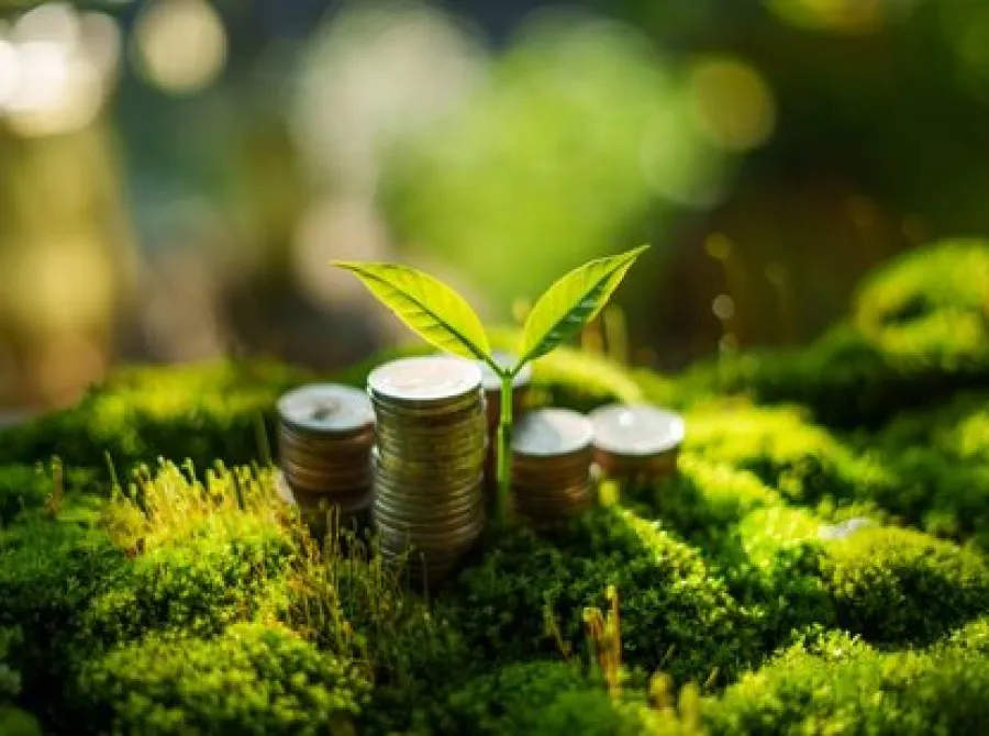 Governo lança Eco Invest Brasil para ampliar financiamento de projetos sustentáveis com capital privado
