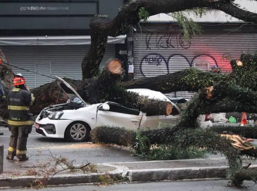 Após chuva e caos, rodízio de veículos é retomado nesta quinta-feira em São Paulo