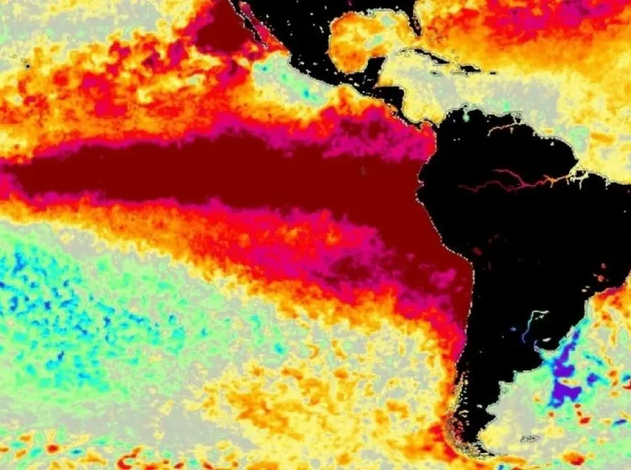 Super El Niño pode causar 26,7 mil mortes por calor no Brasil até março, projeta estudo